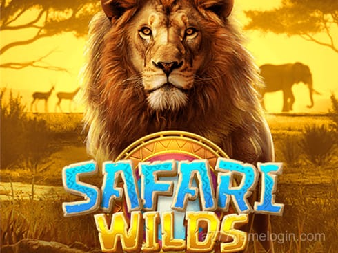 Safari Wilds